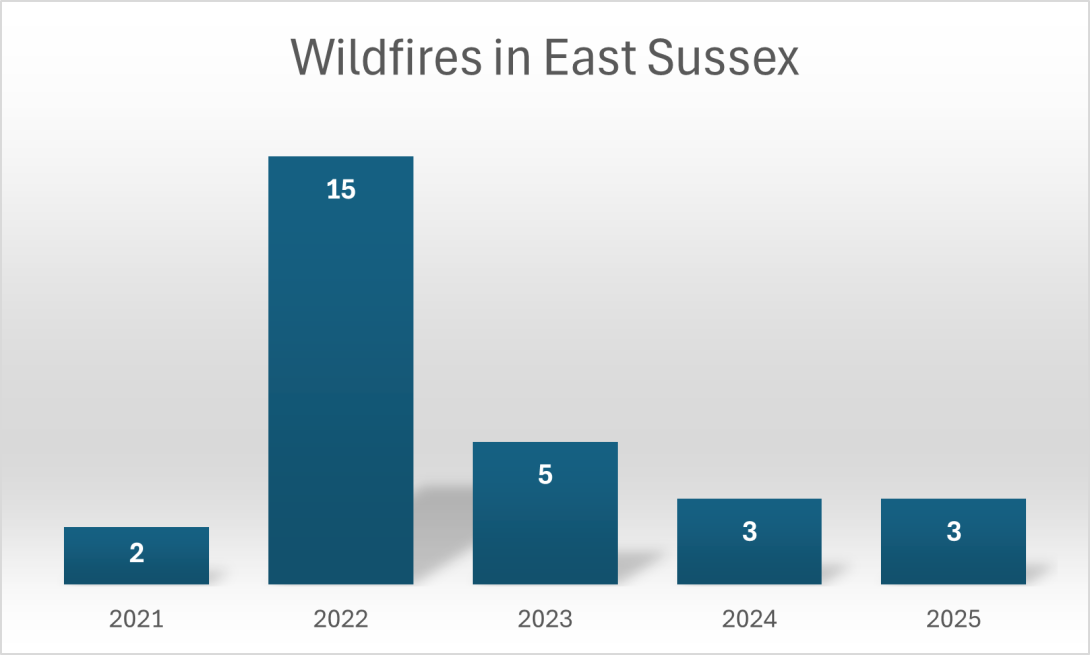 Wildfires in East Sussex